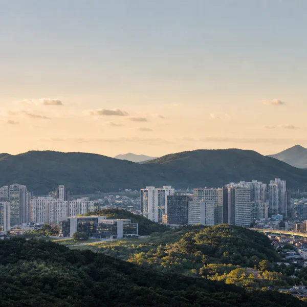 시그니처 베르디스파 홈타이 제휴업체 이미지